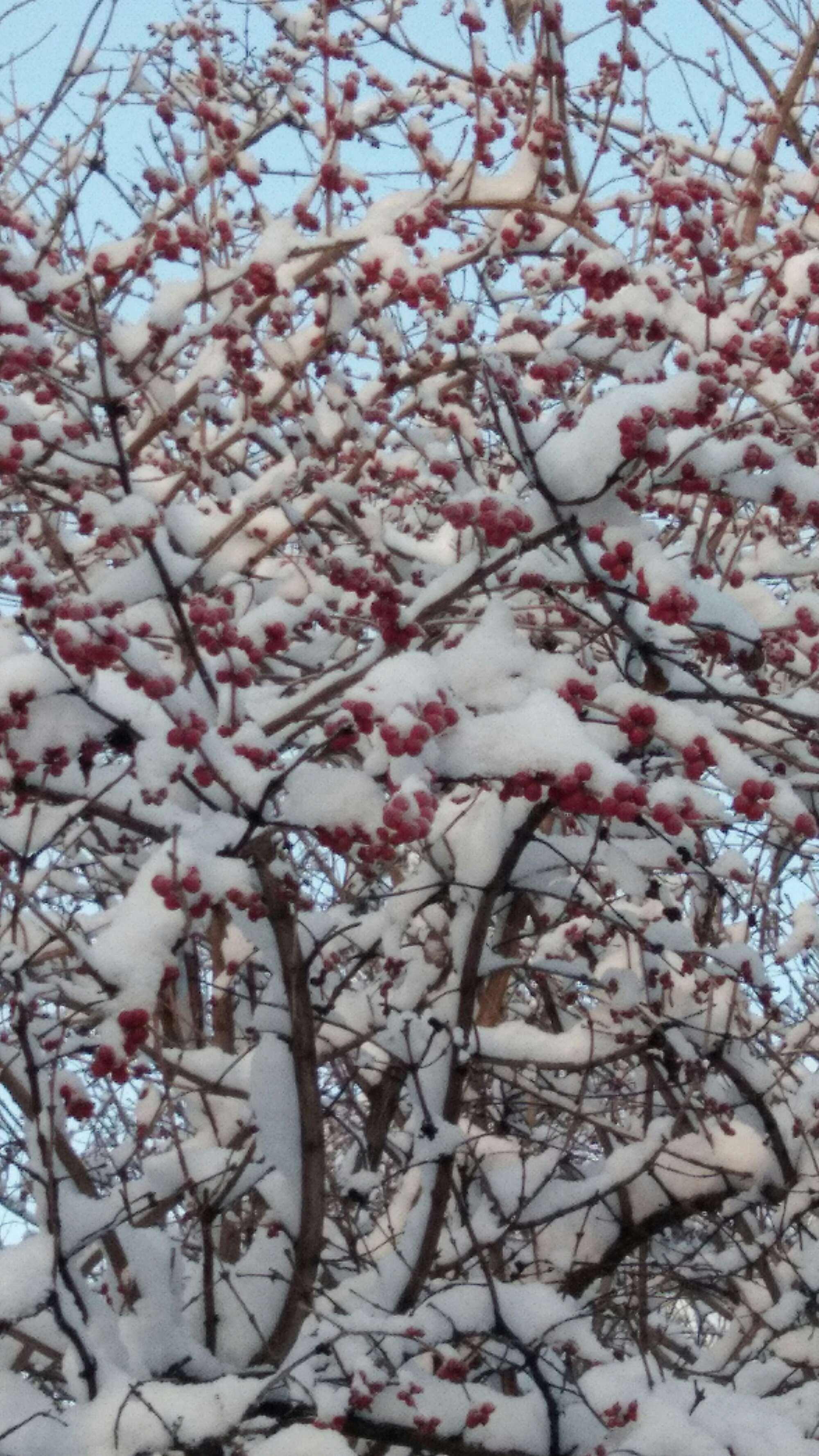 雪花飘影院手机版观看(韩国经典绝伦的电视)