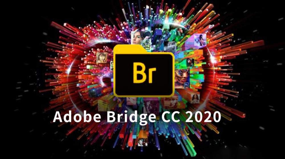 苹果版bridge软件Bridgessapk