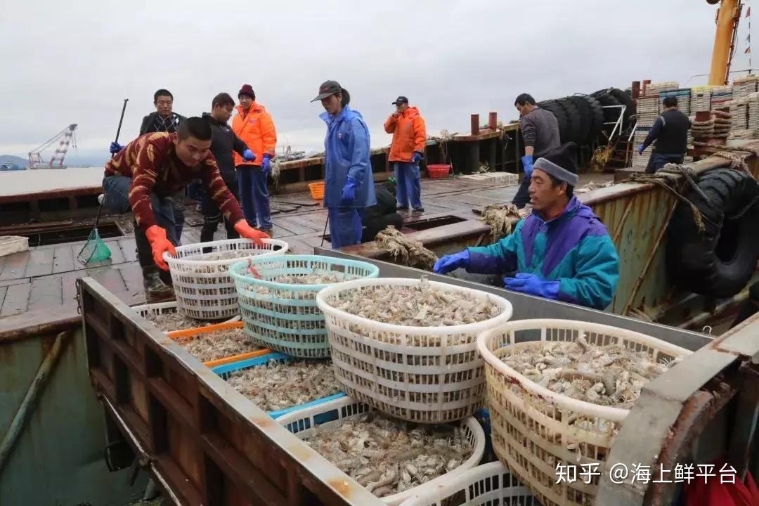 海上鲜app渔船版wifi苹果版(大型海上挖沙船价格)-第4张图片-有道翻译官网