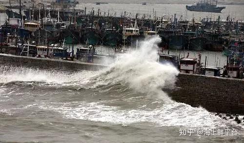 海上鲜app渔船版wifi苹果版(大型海上挖沙船价格)-第5张图片-有道翻译官网