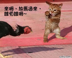 放马过来破解版苹果版(放马过来无限金币破解版)-第5张图片-有道翻译官网