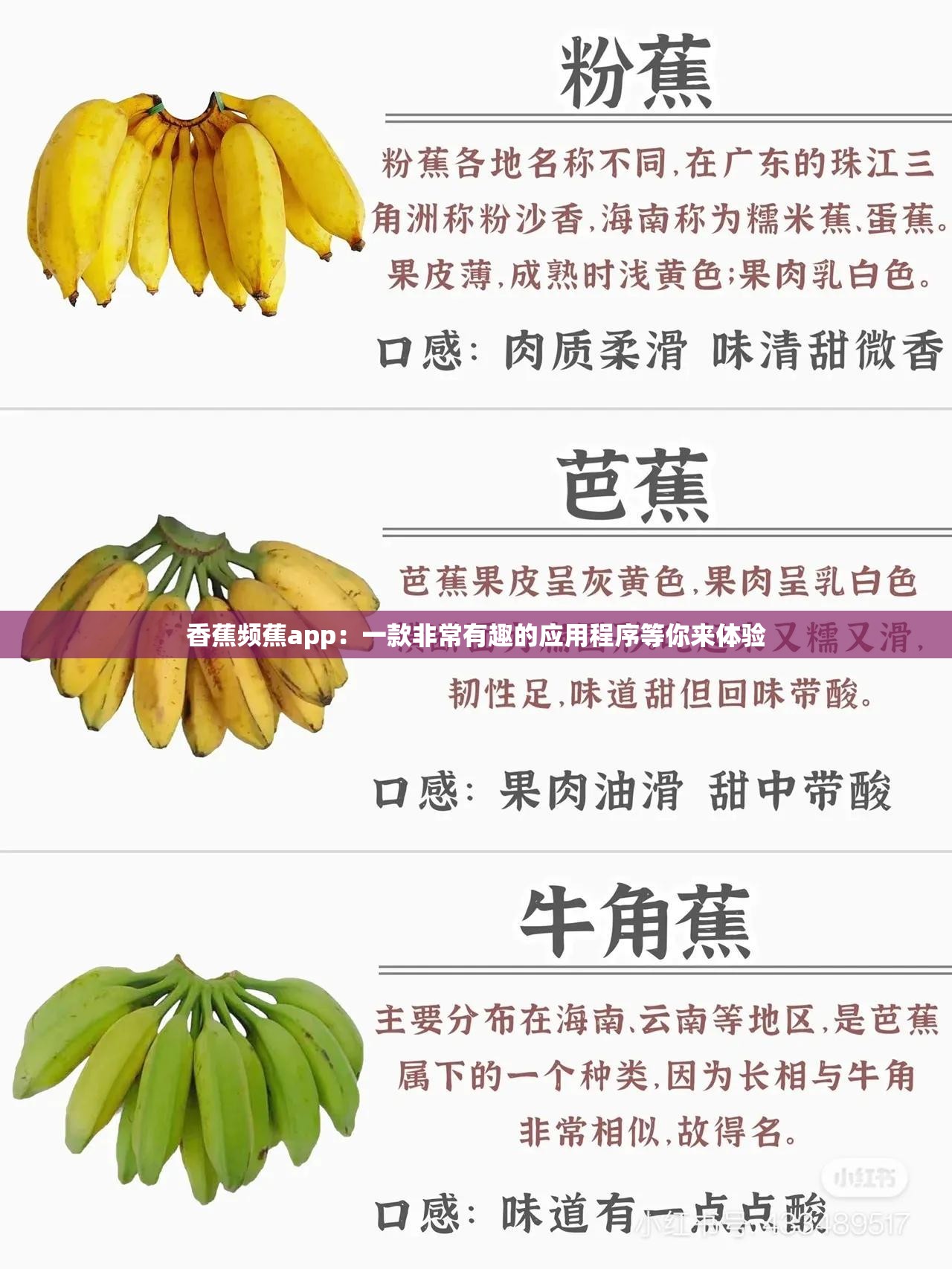 香蕉破解版破解apk苹果版的简单介绍-第3张图片-有道翻译官网