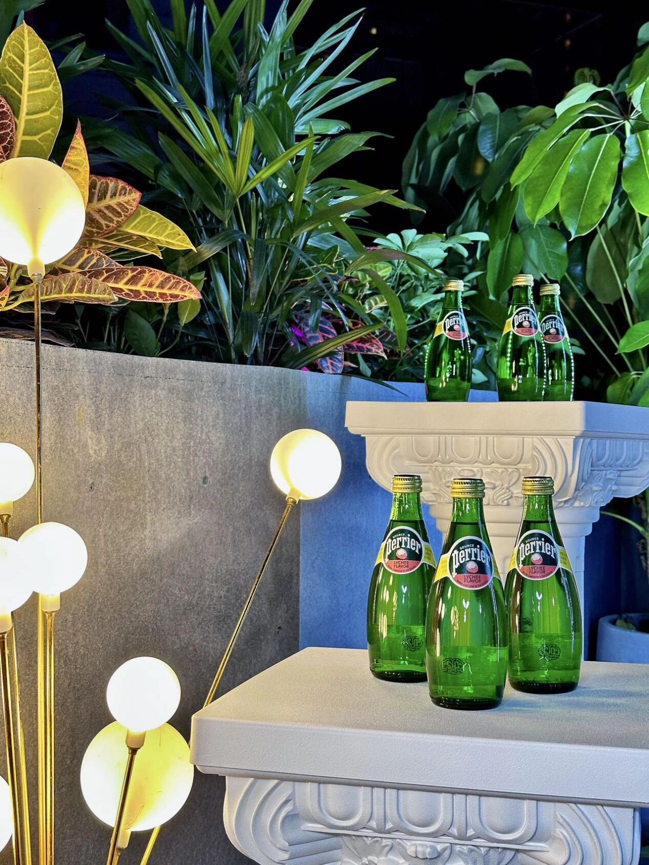 包含荔枝live1.0.1版下载苹果版的词条-第2张图片-有道翻译官网