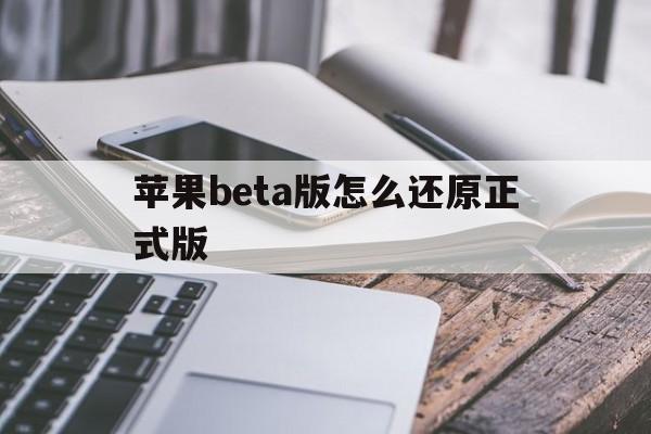 苹果beta版怎么还原正式版(iphone如何从beta版更新到正版)-第12张图片-有道翻译官网