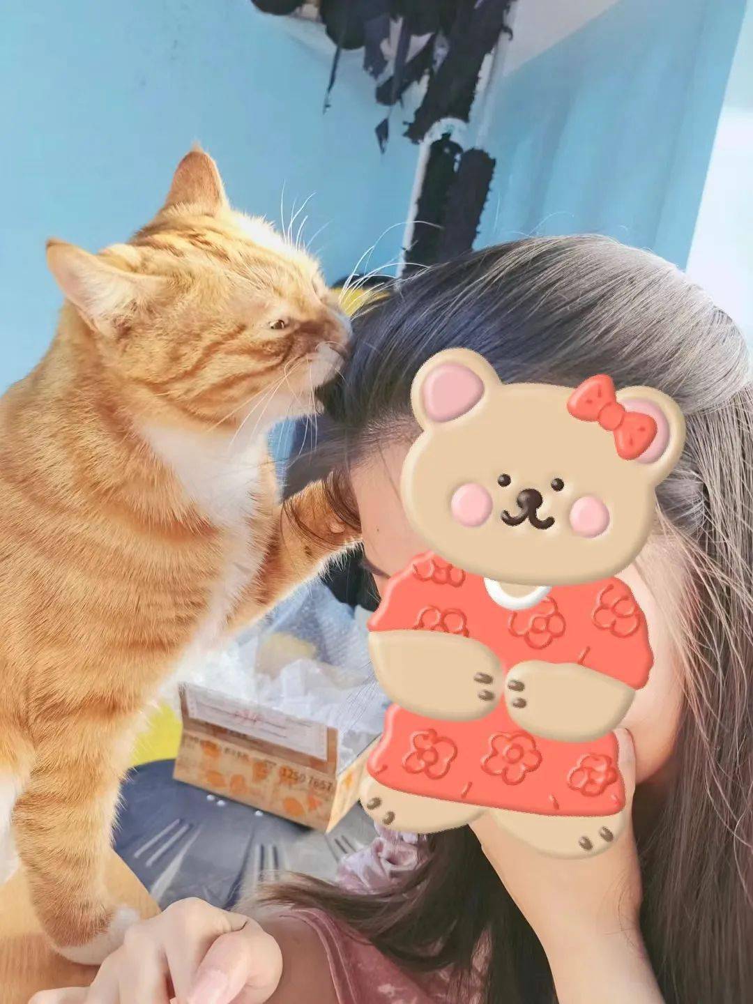 成版人猫咪破解版苹果(猫咪最新破解版apkrename)-第6张图片-有道翻译官网