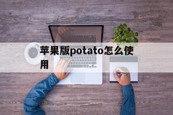 关于苹果版potato怎么使用的信息-第3张图片-有道翻译官网